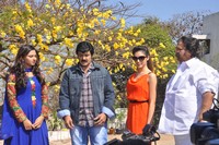 Balakrishna New Movie Launch